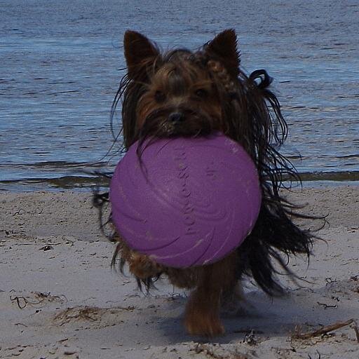 lbutane's profile picture. c4h10