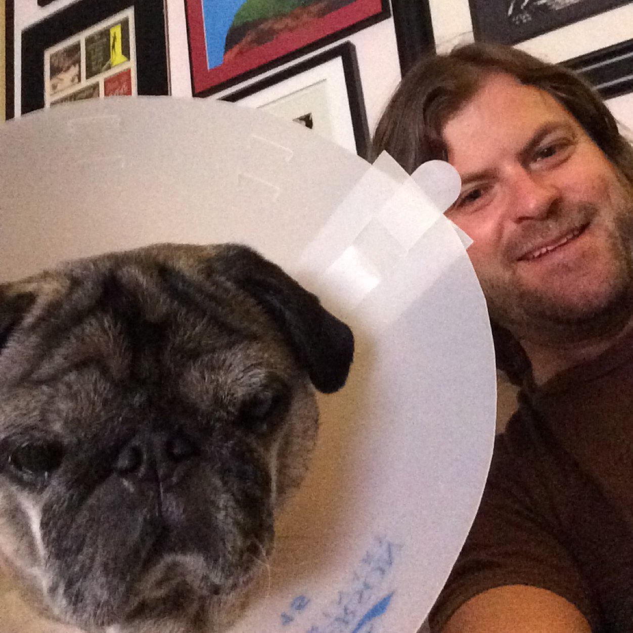 cnelsonwine's profile picture. Winemaker