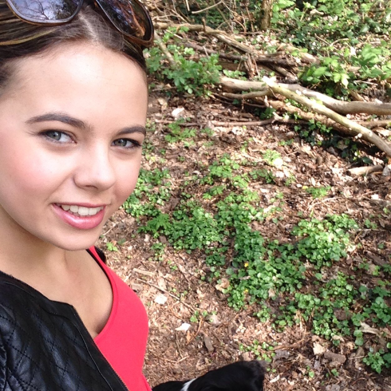 engelslaura's profile picture. 