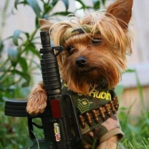 AF Brat - Classical Liberal