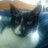 PreciousThing retweeted this
