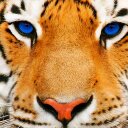 Tawfiq khuyrah - @ABU_JAMAL_ - Twitter