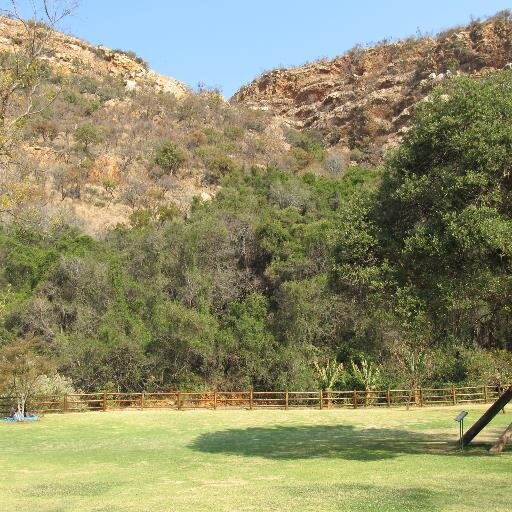 perfectview100's profile picture. 