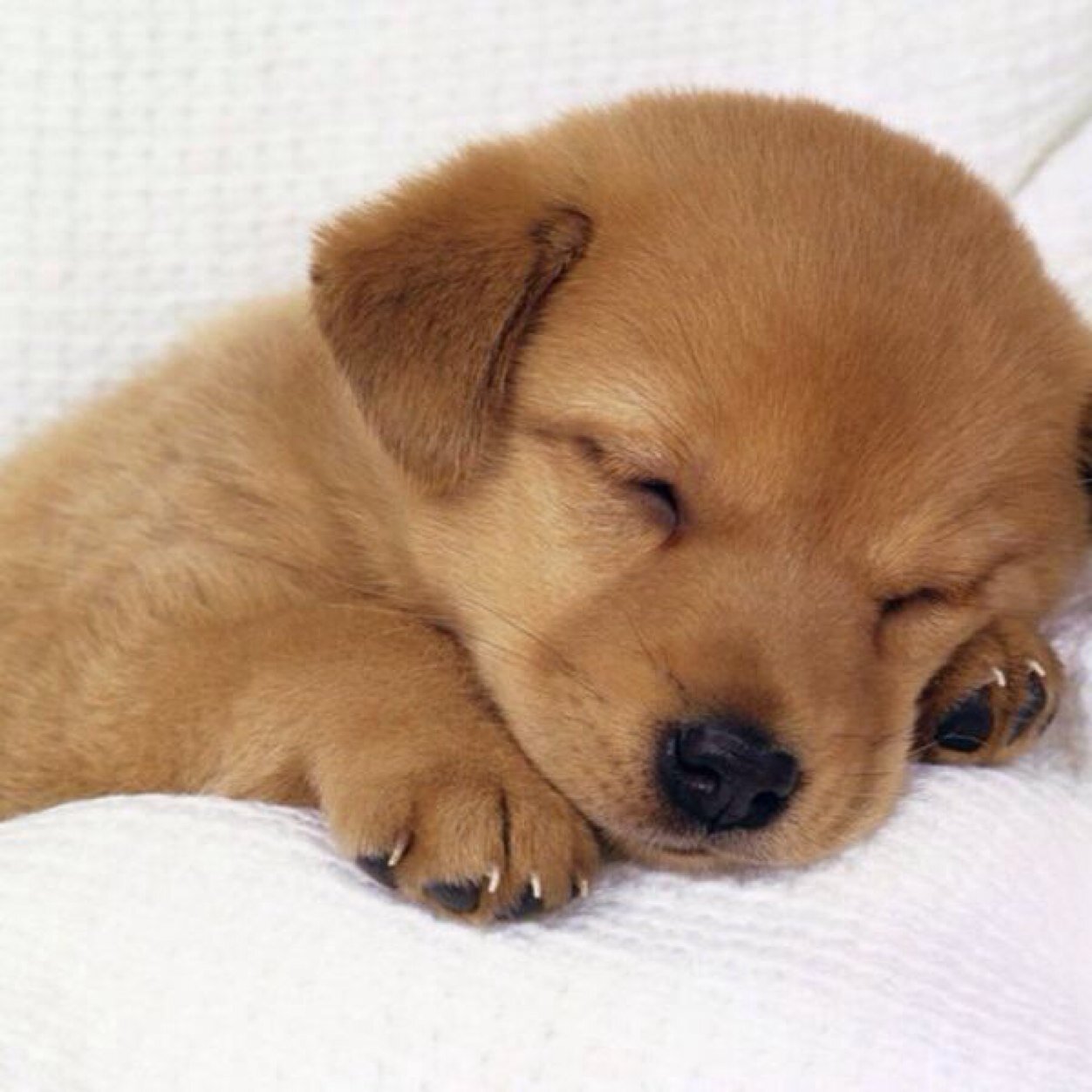 KristenShorrock's profile picture. 