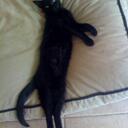 john pilson - @johnlpilson - Twitter