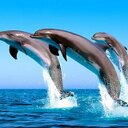 بسام (@01220107367) Twitter