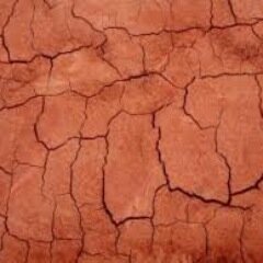 LavozdeManises's profile picture. Tu portal en Manises