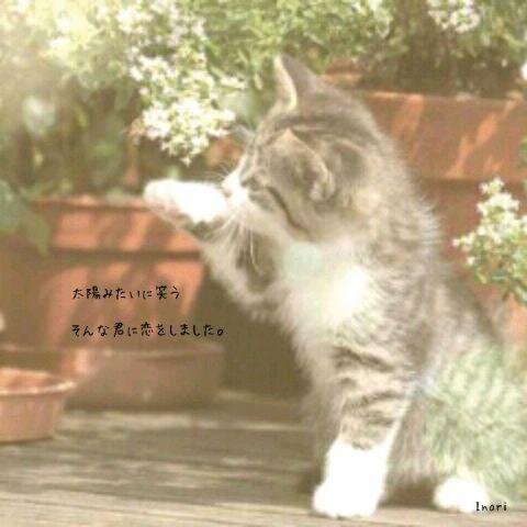 医療関係の仕事をしています。趣味は料理！最近レパートリーが増えてきました♪洋食が得意(*^_^*)素敵なカフェレストランを探すのも趣味のひとつです。