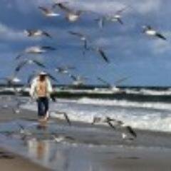 LewisC3's profile picture. Just another sports fan stuck on Crazy!  I bleed pruple & Gold. Love music, I'm a Believer-God & Family is First! In that Order, Enjoy friends/people