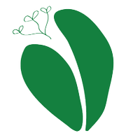 Hava Studios (@havastudios) 's Twitter Profile Photo