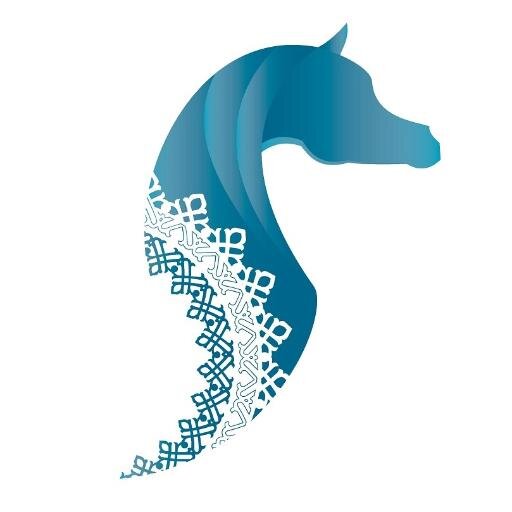 Arabian Horse Stud, Owned by: @Awahab_alsayed & @Kh_AlSayed +966559650000 Info@alsayedstud.com