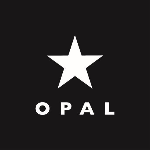 Opal, créateur & distributeur de lunettes optiques & solaires, spécialiste de l'enfant et des montures à prix malins.