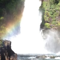 patricio inzunza (@patinzunza) 's Twitter Profile