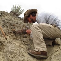 Tyler Lyson (@diggingdinos) 's Twitter Profile