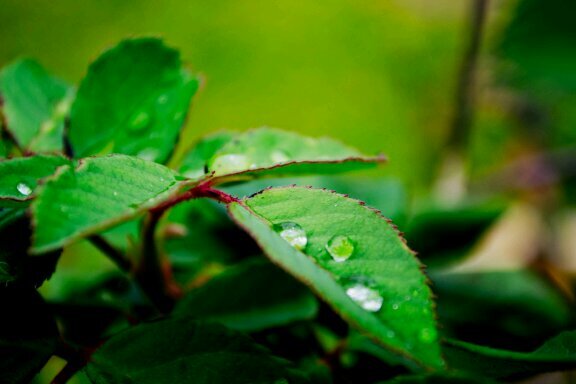 chelselise16's profile picture. .Live.Laugh.Love.