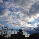 とんこ (@0104karate) Twitter