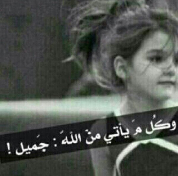 مككن فولو:-$