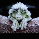 Denise Boyd - @Monkeyoso - Twitter