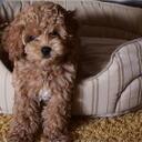 Katie Stout - @katherinestout - Twitter