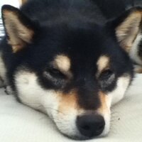 V2（えん） (@vtwoen) Twitter profile photo
