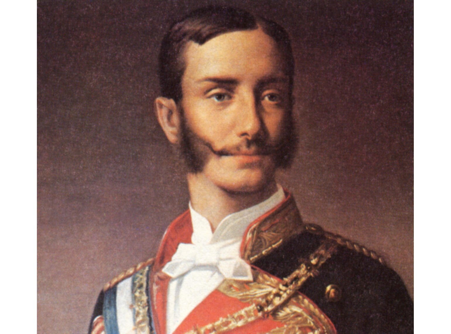 Nací en el Palacio Real de Madrid el 28 de noviembre de 1857 y morí en El Pardo, 25 de noviembre de 1885. Fue rey de España entre 1874 y 1885.