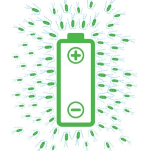 StoreDot's profile picture. 