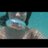 cassieantle's profile image