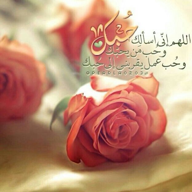 «ولي بقايا ذنوبا“لست أعلمها الله يعلمها في السر والعلن» اللهم اغفرلي وتب علي وارحمني ولاتقبض روحي إلا وانت راض عني