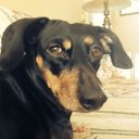 Danielle More - @elle4moore - Twitter