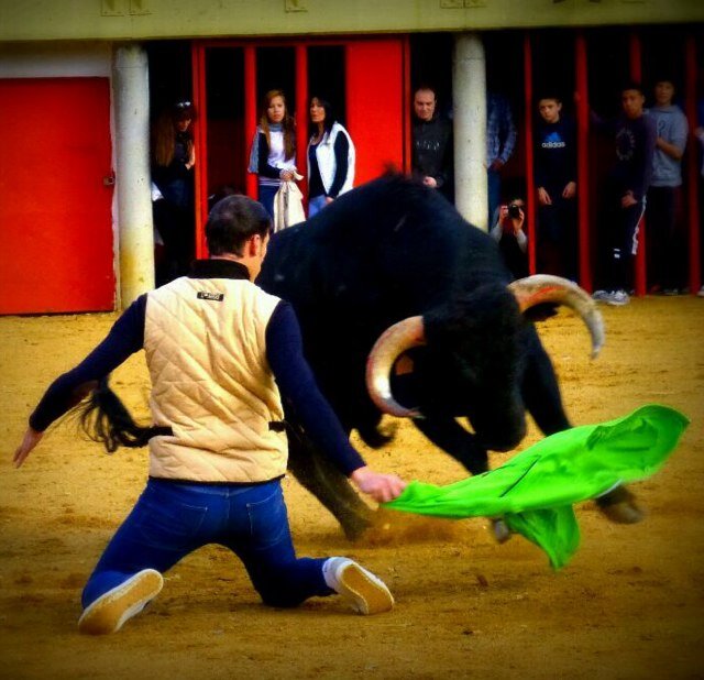 El toro te da y te quita, es el precio de esta bonita afición.