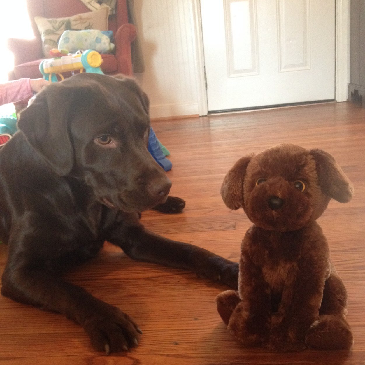 trishncampbell's profile picture. Atlanta,Georgia