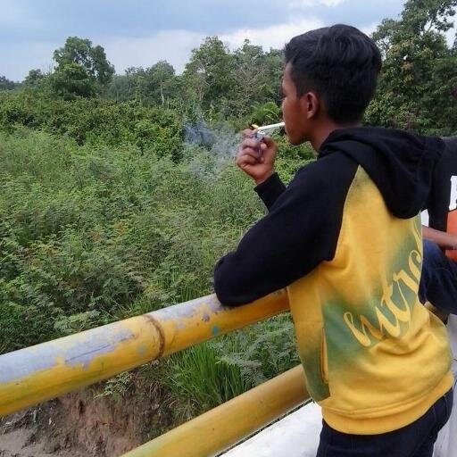 Fenti astuti