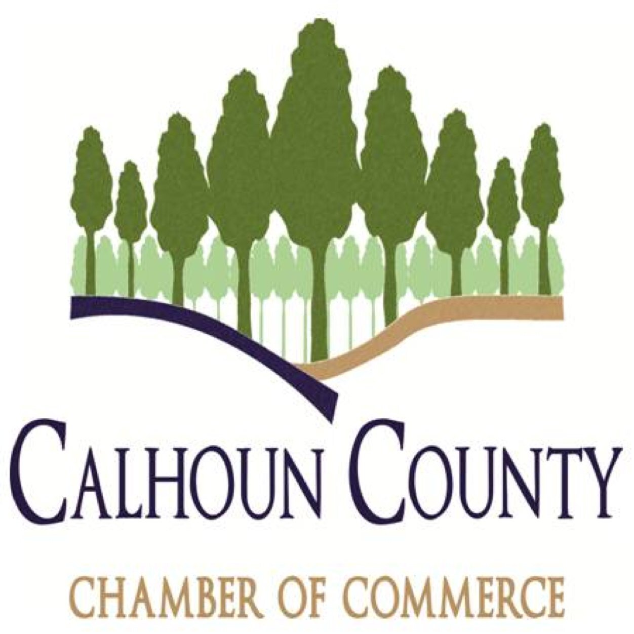 CalCoChamber's profile picture. 