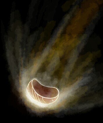 idiotscampaign's profile picture. 