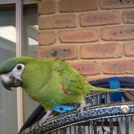 MrArchibaldy's profile picture. 