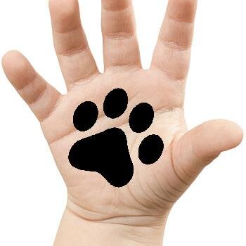 Campaña de adopción de perros, tu también puedes ayudar y darles amor.