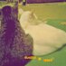 Kucing ! (@kucingmone) Twitter profile photo