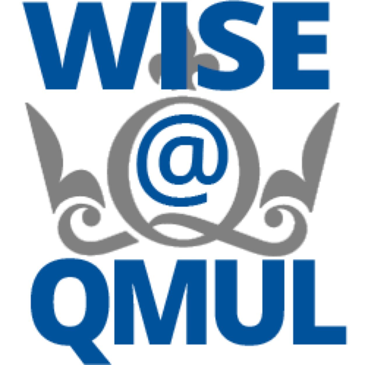 WISE@QMUL Profile