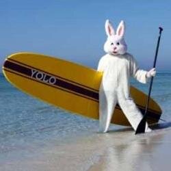 Devon based online retailer of awesome fancy dress...Check us out!!