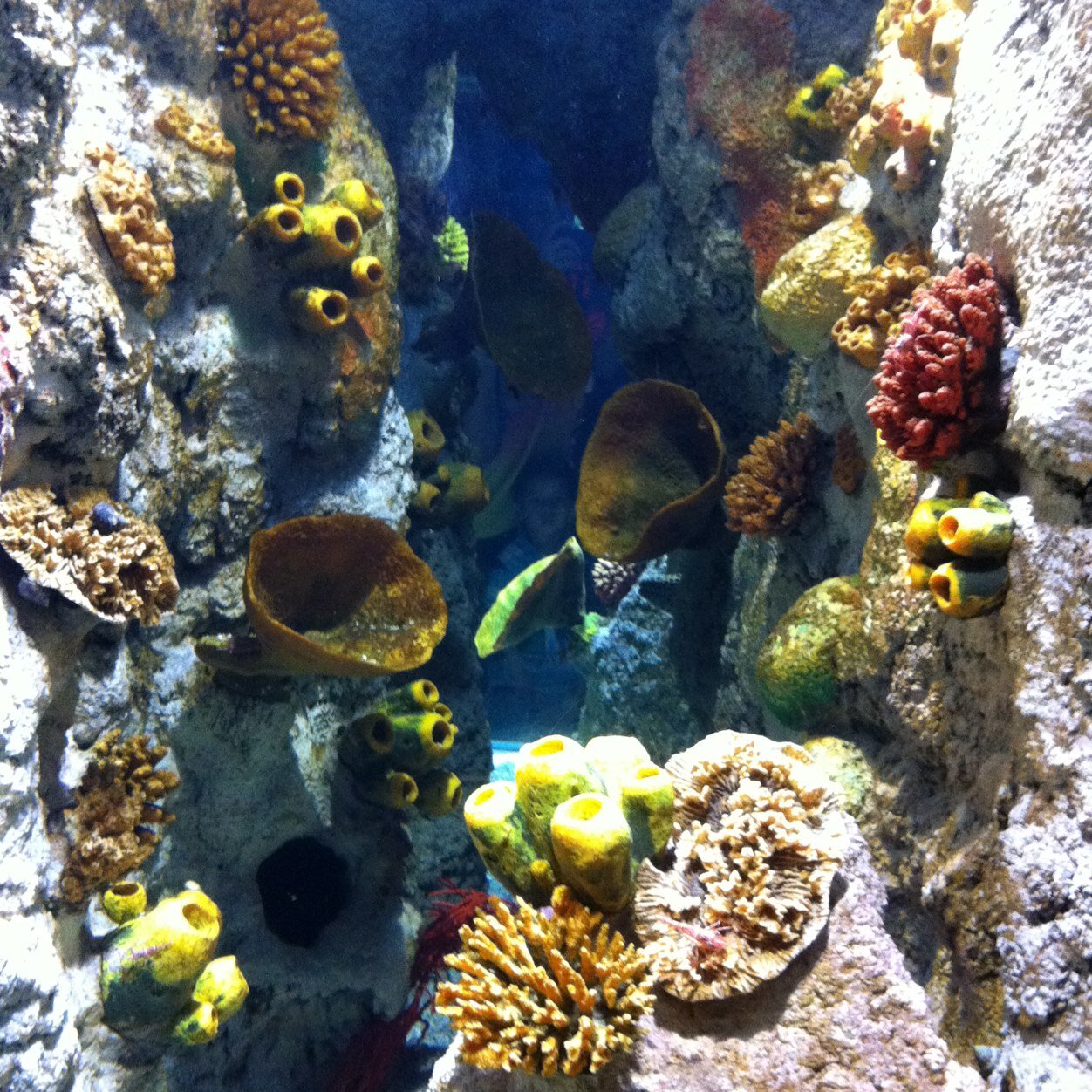 Eng_Anm2r's profile picture. ‏إهدِنَا الصِّرَاطَ المُستَقِيمَ