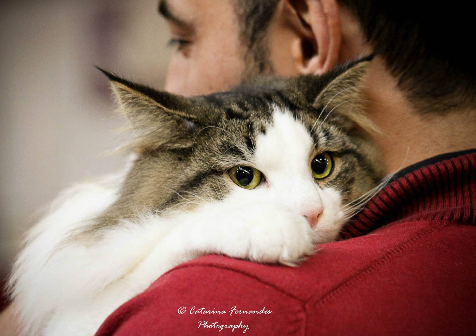 DracarysNFO's profile picture. 