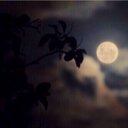 hoooh_11 (@11Hoooh) Twitter