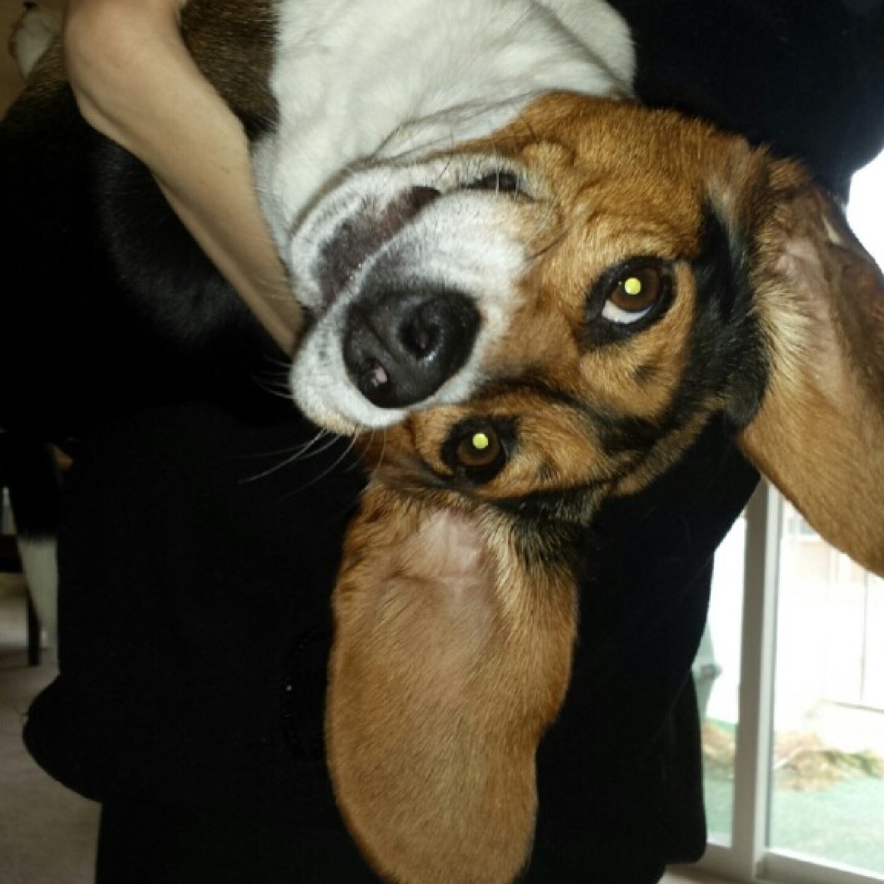 CSRobbinsCGRN's profile picture. EUS Specialist