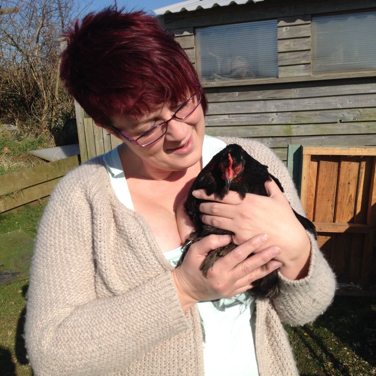 blinkingviolet's profile picture. dogsbody, farmer, mother, wife, daydreamer (believe I'm gunna win the lottery every week :-) ) peacemaker, hermit, no shrinking violet and uber fashion designer