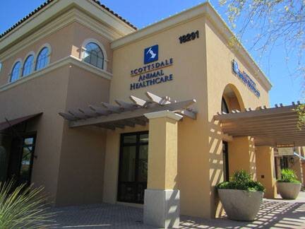 ScottsdaleAHC's profile picture. We promise to partner with you, the pet owner, to formulate the best care for your pet.