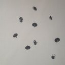 John Hussain Flindt - @johnflindt - Twitter