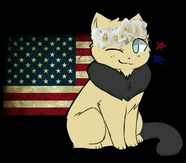meow meow meow meow(hi I'm fem americat.I like video games, McDonald's and being the heroine!!!) (#needs an owner #taken by @iarearthur  #bi #any pairing)