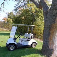 Bluffton Golf Club (@blufftongolf) 's Twitter Profile