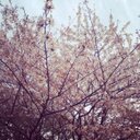 아이카 (@0512Kim) Twitter