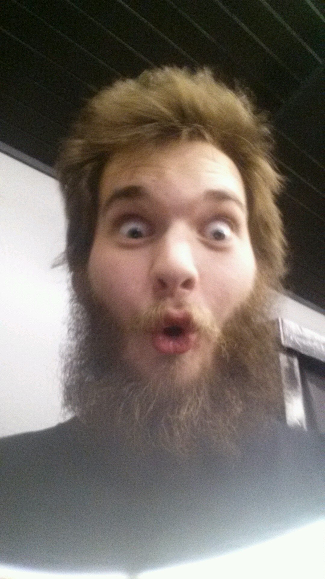 Jenscicle's profile picture. 